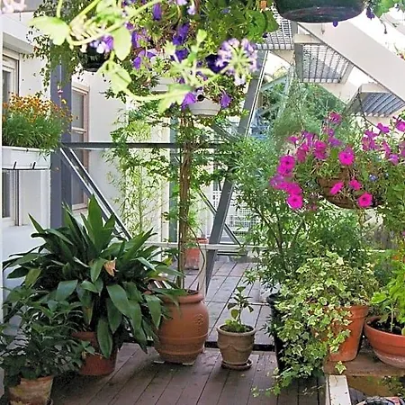 Loft De לינה וארוחת בוקר קאן