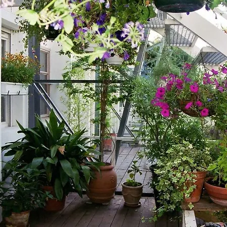 לינה וארוחת בוקר Loft De