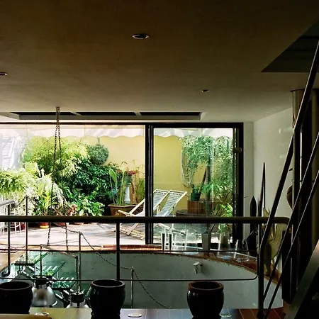 Loft De Cannes